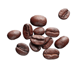 コーヒー豆